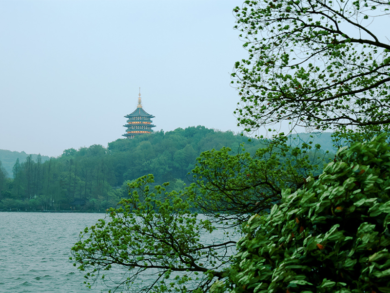 人文杭州，父母們來了！河南礦山第十三屆孝文化感恩旅游節(jié)第三站